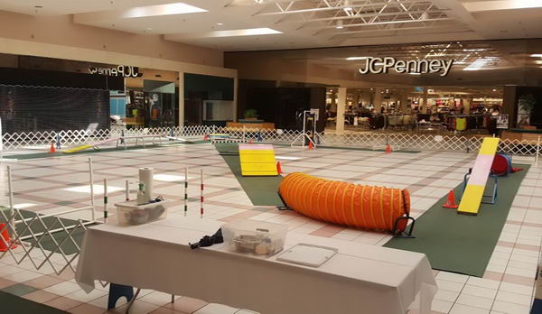 The Orchards Mall - Photo From Mall Website (newer photo)